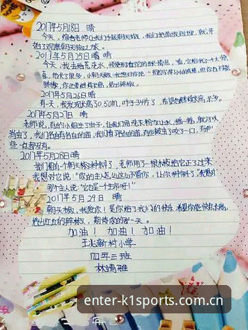 揭秘K1体育平台"进门就看到的那一页中国"：一个老球迷的界面观察日记